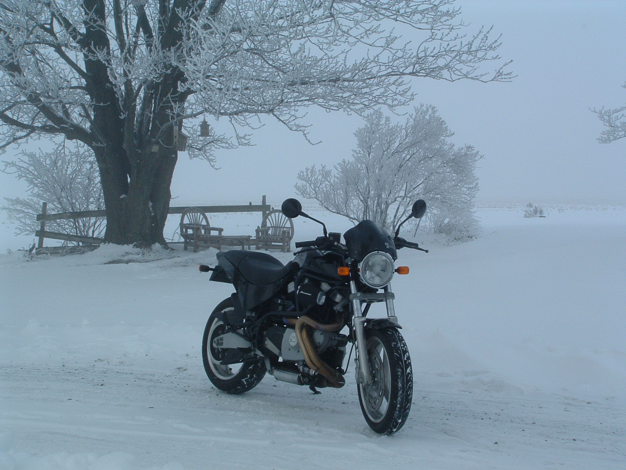 Motori i zimske arolije