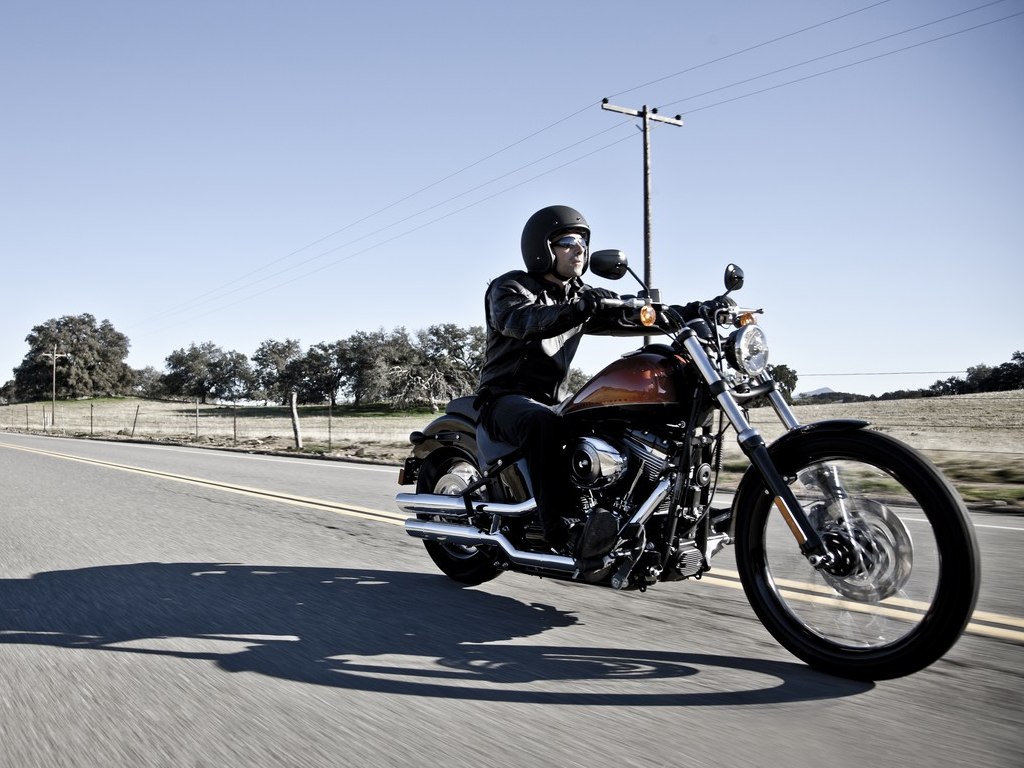 Harley Blackline 2011