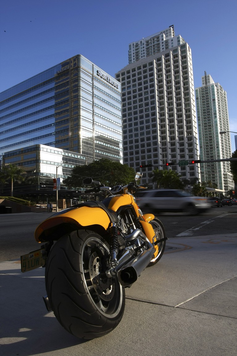 Harley-Davidson - Wynwood