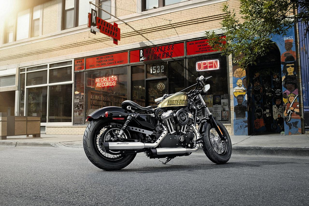 Harley-Davidson Custom Hard Candy