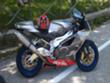 Aprilia RSV 1000