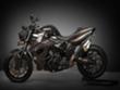 Preraeni BMW F 800 R