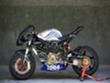 Radical Ducati Wildcat