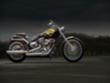 Harley Davidson 2013