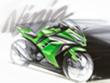 Kawasaki Ninja 300