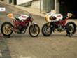 Radical Ducati 7eMezzo Sportiva